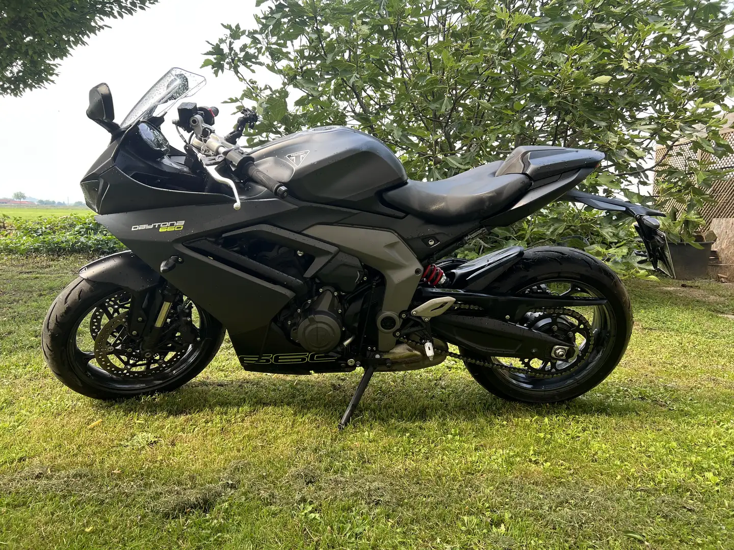 Triumph Daytona 650 - 1