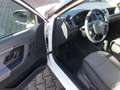 Skoda Fabia 1.2, Klima, Alufelgen, zus. Winterräder Wit - thumbnail 16