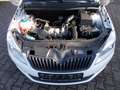Skoda Fabia 1.2, Klima, Alufelgen, zus. Winterräder Wit - thumbnail 11