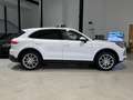 Porsche Cayenne *PDLS+,Apple,Tow.,Tempo.,Kamera,DAB* Weiß - thumbnail 7