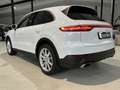 Porsche Cayenne *PDLS+,Apple,Tow.,Tempo.,Kamera,DAB* Weiß - thumbnail 4