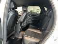 Porsche Cayenne *PDLS+,Apple,Tow.,Tempo.,Kamera,DAB* Blanc - thumbnail 30