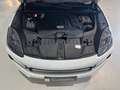 Porsche Cayenne *PDLS+,Apple,Tow.,Tempo.,Kamera,DAB* Blanc - thumbnail 27