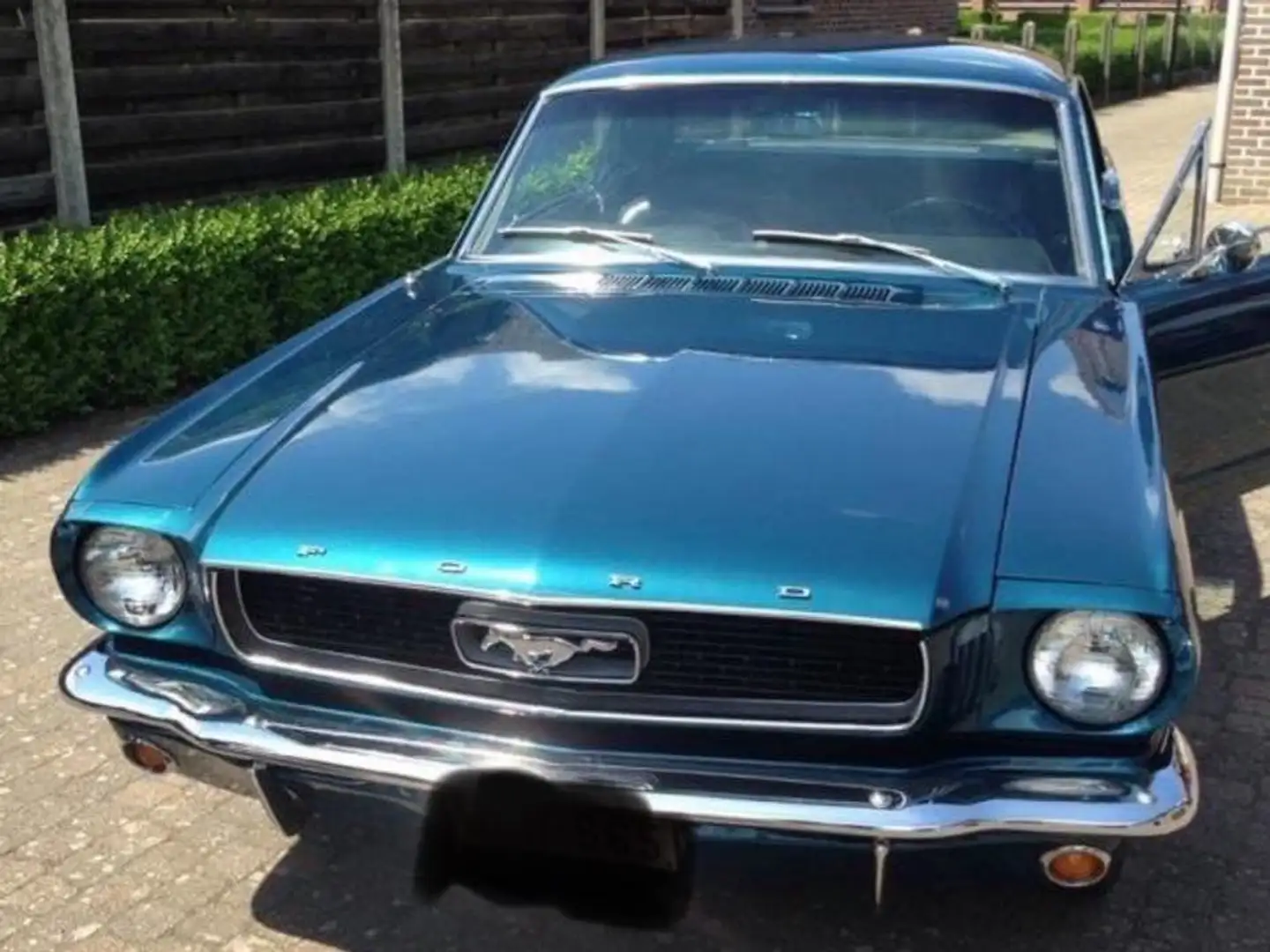 Ford Mustang Blauw - 1