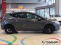 Ford Fiesta 1.1 75 CV 5 PORTE TITANIUM TUNING SCARICO SPORTIVO Grau - thumbnail 25