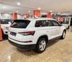Skoda Kodiaq 2.0TDI AB tech Ambition 4x2 DSG 110kW Blanco - thumbnail 6
