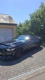 Mustang 3.7L V6 essence & GPL