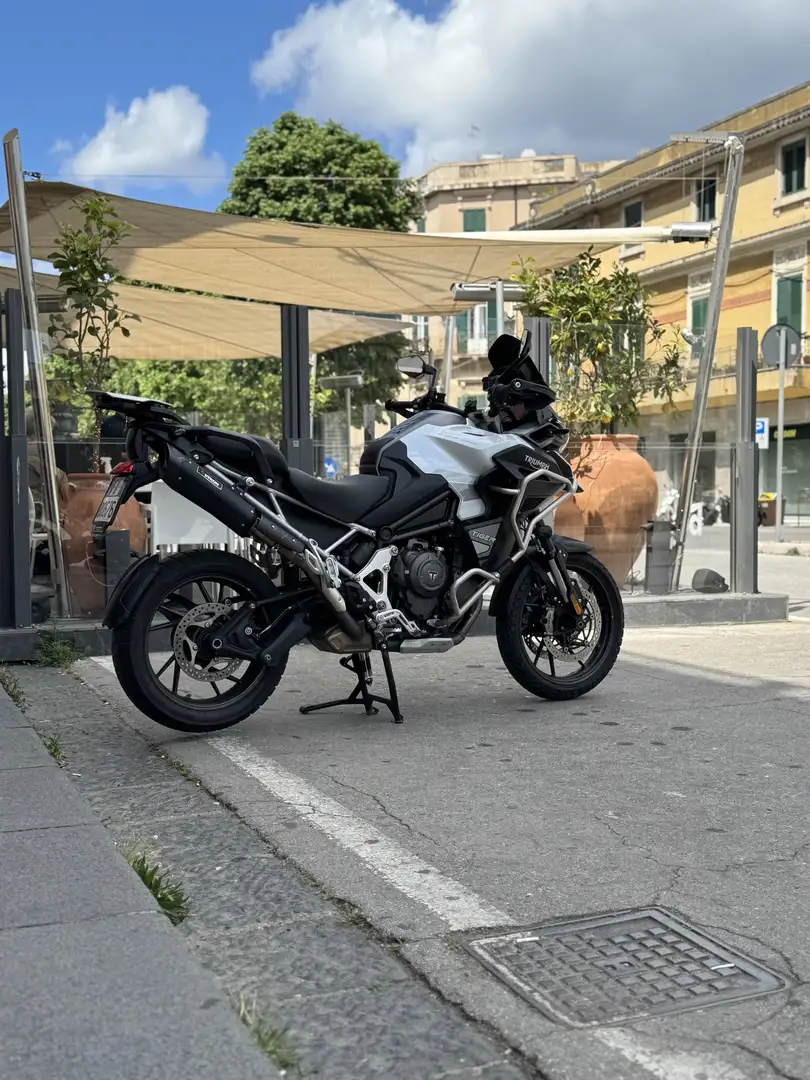 Triumph Tiger 1200 GT Explorer - 2