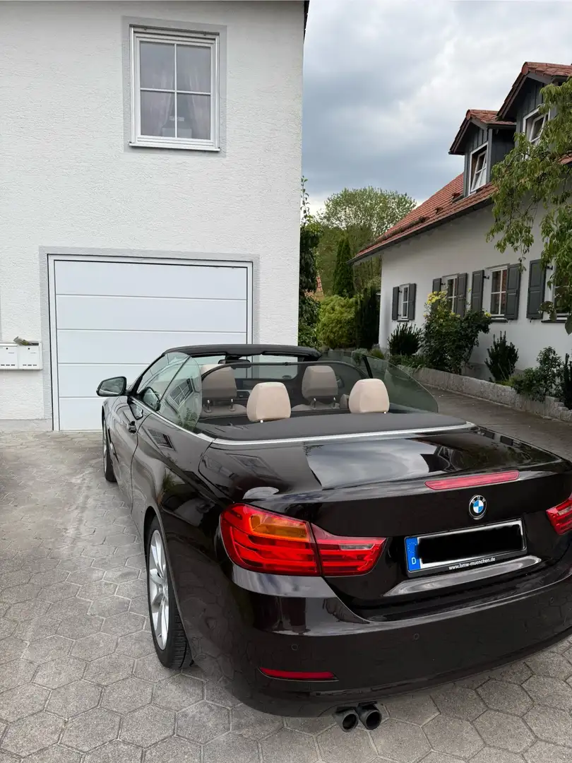 BMW 428 428 i Braun - 1