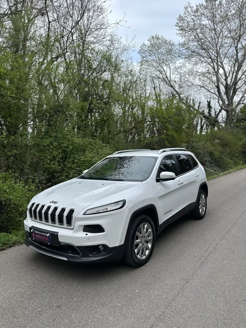 Jeep Cherokee 5p 2.2 mjt 4wd - 1
