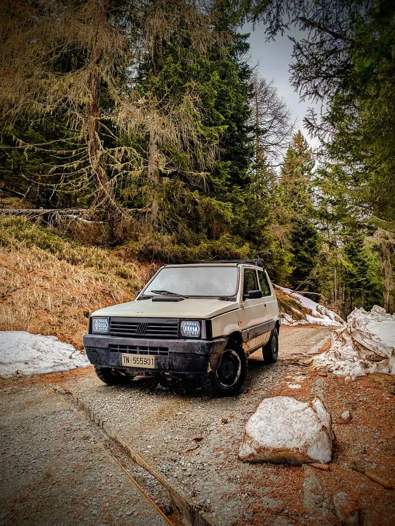 Fiat Panda 1.0 Trekking 4x4 - 2