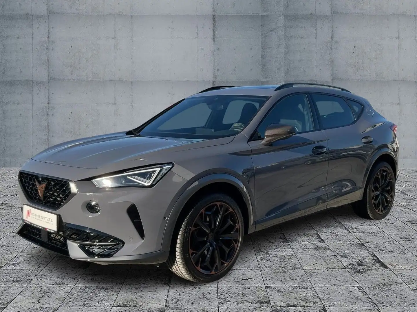 CUPRA Formentor 2.0 TSI DSG VZ MATRIX+NAVI+BEATS+360° Grau - 2