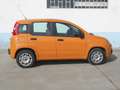 Fiat Panda 3 1.2 Easy Finanziato Arancione - thumbnail 3