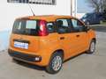 Fiat Panda 3 1.2 Easy Finanziato Arancione - thumbnail 12