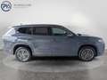 Volkswagen Tayron Friends TDI 4MOTION DSG Grau - thumbnail 6