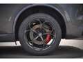 Alfa Romeo Stelvio Quadrifoglio + HK + TO : EN STOCK / MALUS DEJA PAYE Grau - thumbnail 10