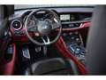 Alfa Romeo Stelvio Quadrifoglio + HK + TO : EN STOCK / MALUS DEJA PAYE Grau - thumbnail 25