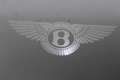 Bentley Flying Spur 2.9 V6 Hybrid S | Rotating Display | Touring Speci Blau - thumbnail 48