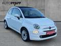 Fiat 500C 1.0 GSE Hybrid DOLCEVITA Weiß - thumbnail 3
