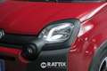 Fiat Panda Pandina 1.0 Firefly Hybrid 70CV Cross Rosso - thumbnail 3