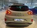 Ford Puma 1.0  TITANIUM/PANO-D/iACC/WINTER-PAKET Gris - thumbnail 5