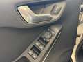 Ford Fiesta Titanium*LED*CarPlay*R-Cam*WinterPac*ACC* Silber - thumbnail 13