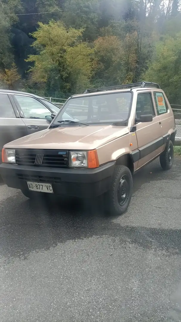 Fiat Panda 141 4x4 trakking Bronz - 1