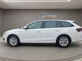 Skoda Octavia Tdi 2.0 - SELECTION - DSG - nur € 33.999,-* Weiß - thumbnail 8