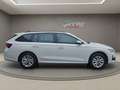 Skoda Octavia Tdi 2.0 - SELECTION - DSG - nur € 33.999,-* Weiß - thumbnail 4