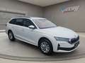 Skoda Octavia Tdi 2.0 - SELECTION - DSG - nur € 33.999,-* Weiß - thumbnail 3