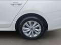 Skoda Octavia Tdi 2.0 - SELECTION - DSG - nur € 33.999,-* Weiß - thumbnail 15