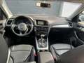 Audi Q5 2,0 TDI quattro Offroad Intense S-tronic Grau - thumbnail 6