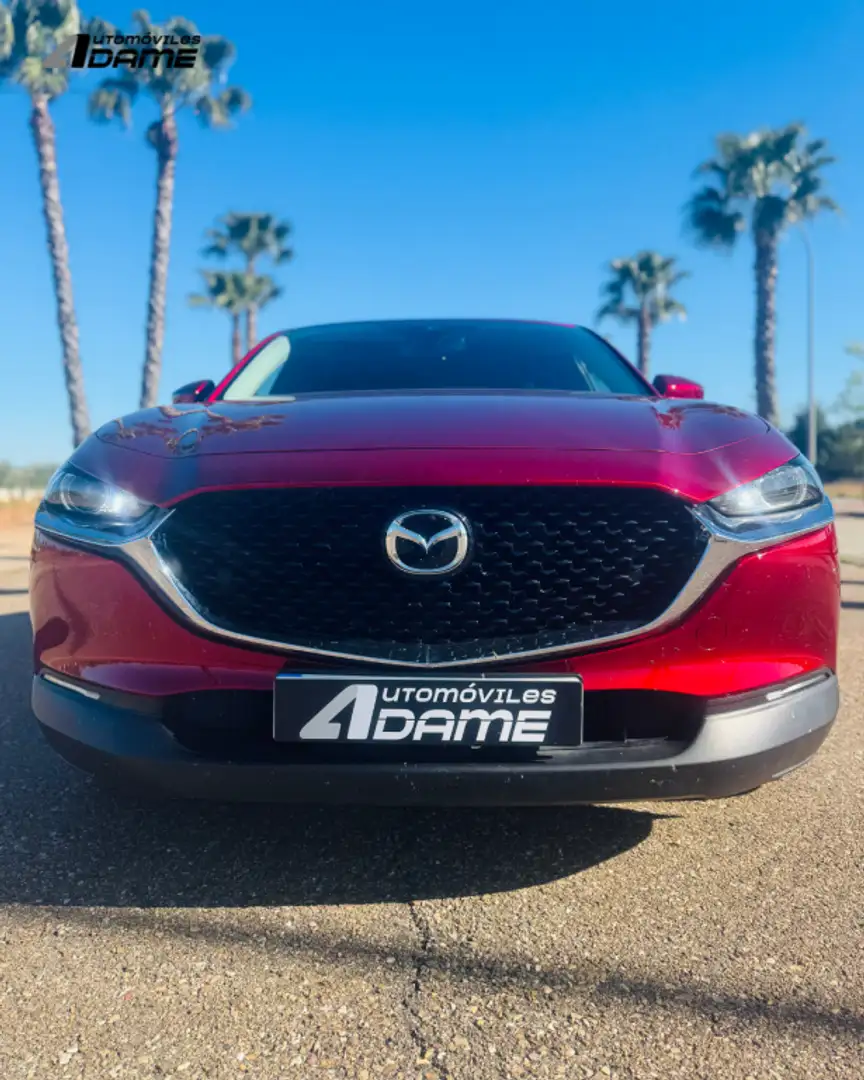 Mazda CX-30 1.8 Skyactiv-D Zenith 2WD 85kW Rojo - 2