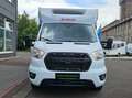 Dethleffs FORD JUST GO T6815 *AUTOMATIK*MARKISE*TV Bianco - thumbnail 3