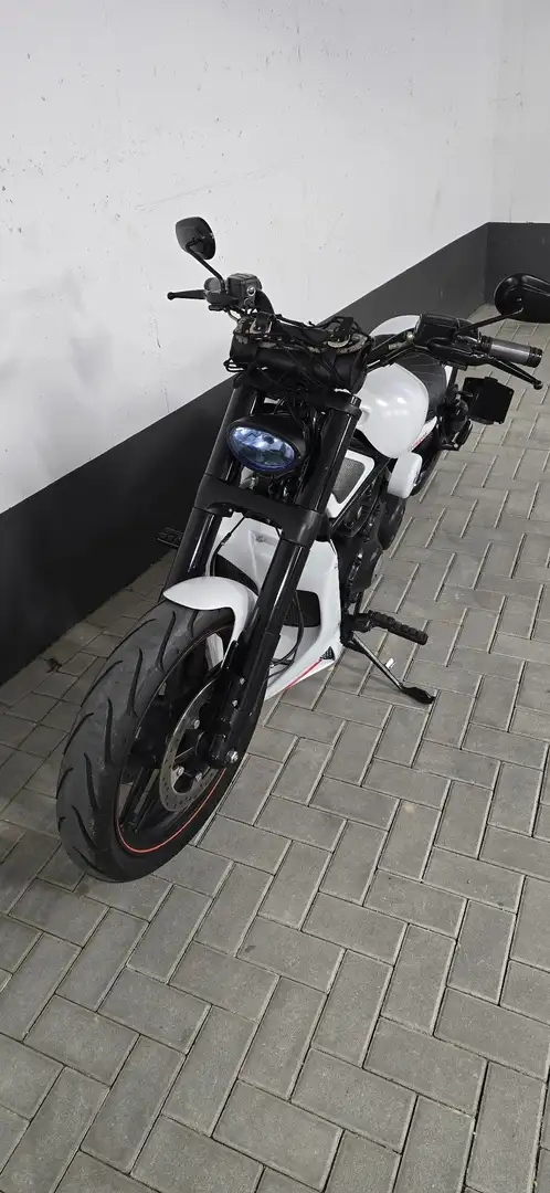 Harley-Davidson VRSC Night Rod Beyaz - 1