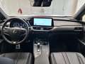 Lexus UX 300h UX 300h 2.0 F-Sport 4wd cvt Arancione - thumbnail 11