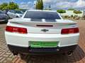 Chevrolet Camaro Coupé 6,2l V8 SS +Schaltgetriebe+ Weiß - thumbnail 17