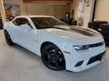 Chevrolet Camaro Coupé 6,2l V8 SS +Schaltgetriebe+ bijela - thumbnail 1