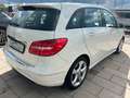 Mercedes-Benz B 200 B -Klasse B 200 Navi SHZ Klima PDC Blanc - thumbnail 9