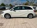 Mercedes-Benz B 200 B -Klasse B 200 Navi SHZ Klima PDC Blanco - thumbnail 4