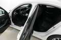 BMW 320 xi Lim. M Sport ACC HiFi SHZ HUD KZU QI 360° Weiß - thumbnail 6