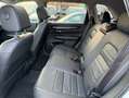 Honda CR-V e:HEV Elegance 2WD Style Paket Weiß - thumbnail 7