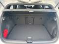 Volkswagen Golf R-Line 1.5 eTSI DSG BLACKSTYLE PANO NAVI Weiß - thumbnail 15