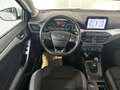 Ford Focus Traveller 1,5 EcoBlue Trend Edition Business Weiß - thumbnail 8
