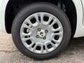 Fiat Panda 1.0 Hybrid Weiß - thumbnail 15
