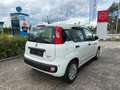 Fiat Panda 1.0 Hybrid Weiß - thumbnail 12