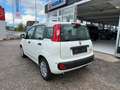 Fiat Panda 1.0 Hybrid Weiß - thumbnail 13