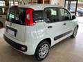 Fiat Panda New 1.3 M.JET 80 cv. EASY N1 (I.V.A. Inclusa) Bianco - thumbnail 4