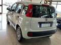 Fiat Panda New 1.3 M.JET 80 cv. EASY N1 (I.V.A. Inclusa) Bianco - thumbnail 3