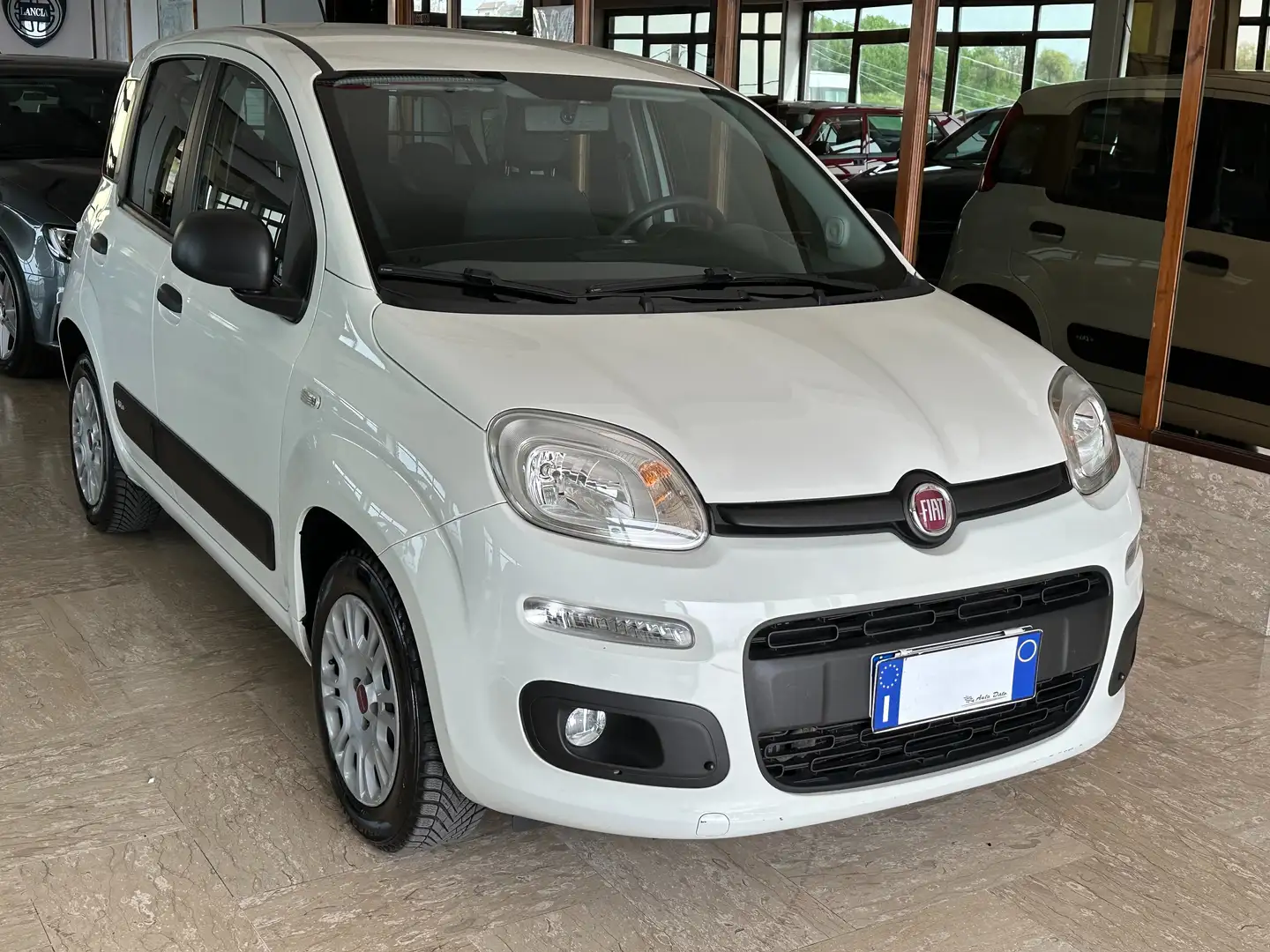 Fiat Panda New 1.3 M.JET 80 cv. EASY N1 (I.V.A. Inclusa) Bianco - 2